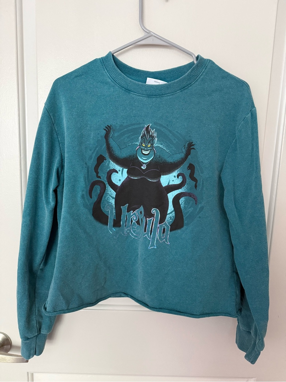 Teal Ursula longsleeve crop top
